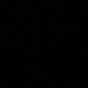 Meet your Posher, Demetrius